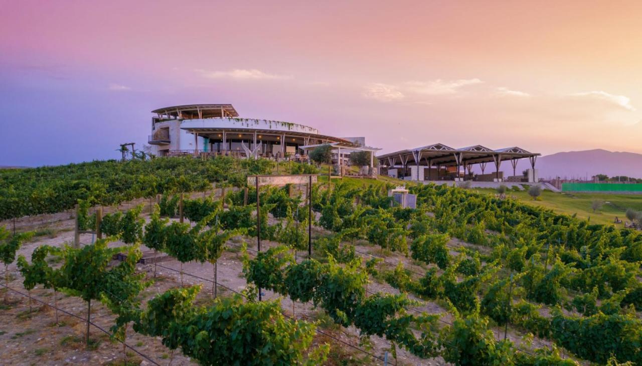 Hotel Vinicola Parvada By Lumina Парас де ла Фуенте Екстериор снимка